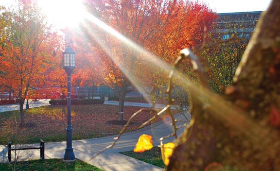 Snapshots: Quad in the Fall