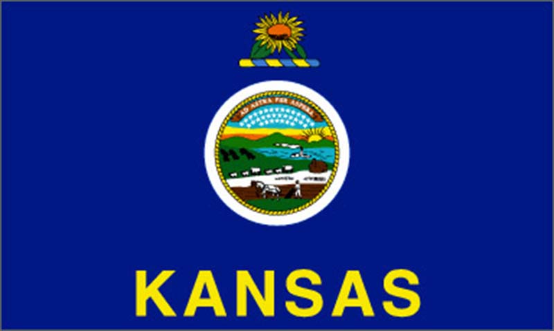 Kansas+voters+guide
