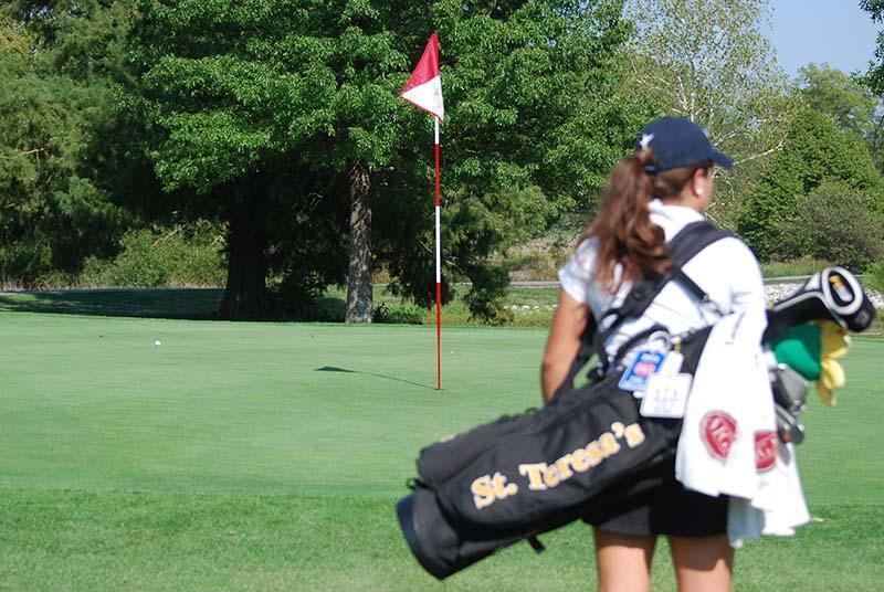 Senior golfers place at State tournament