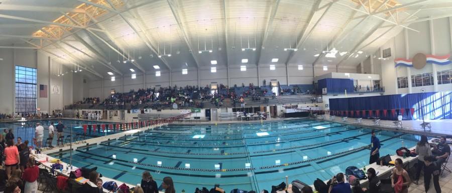 The+swim+and+dive+teams+competed+previously+in+the+2016+MSHSAA+Swim+and+Dive+State+Championships.+photo+courtesy+of+Gabby+Ayala