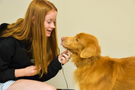 Junior Ellie Hatley coos at her dog, Clyde, while waiting for her turn in showing practice, Oct 1. Banksy is a Nova Scotia Duck Toy Retriever, which is known to be a hyper-active breed. photo by Claire Smith
