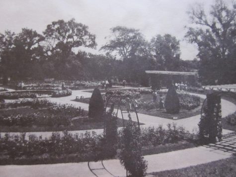 The Rich History of the Loose Park Rose Garden