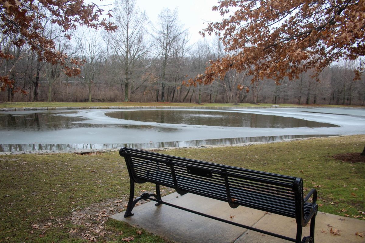 A park bench sits by a frozen pond on Jan. 30.