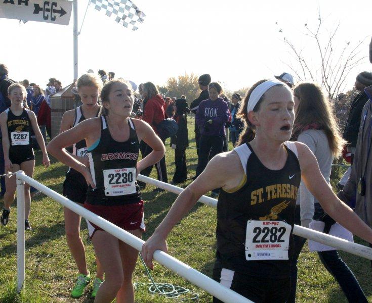 Gallery: Cross country sectionals 